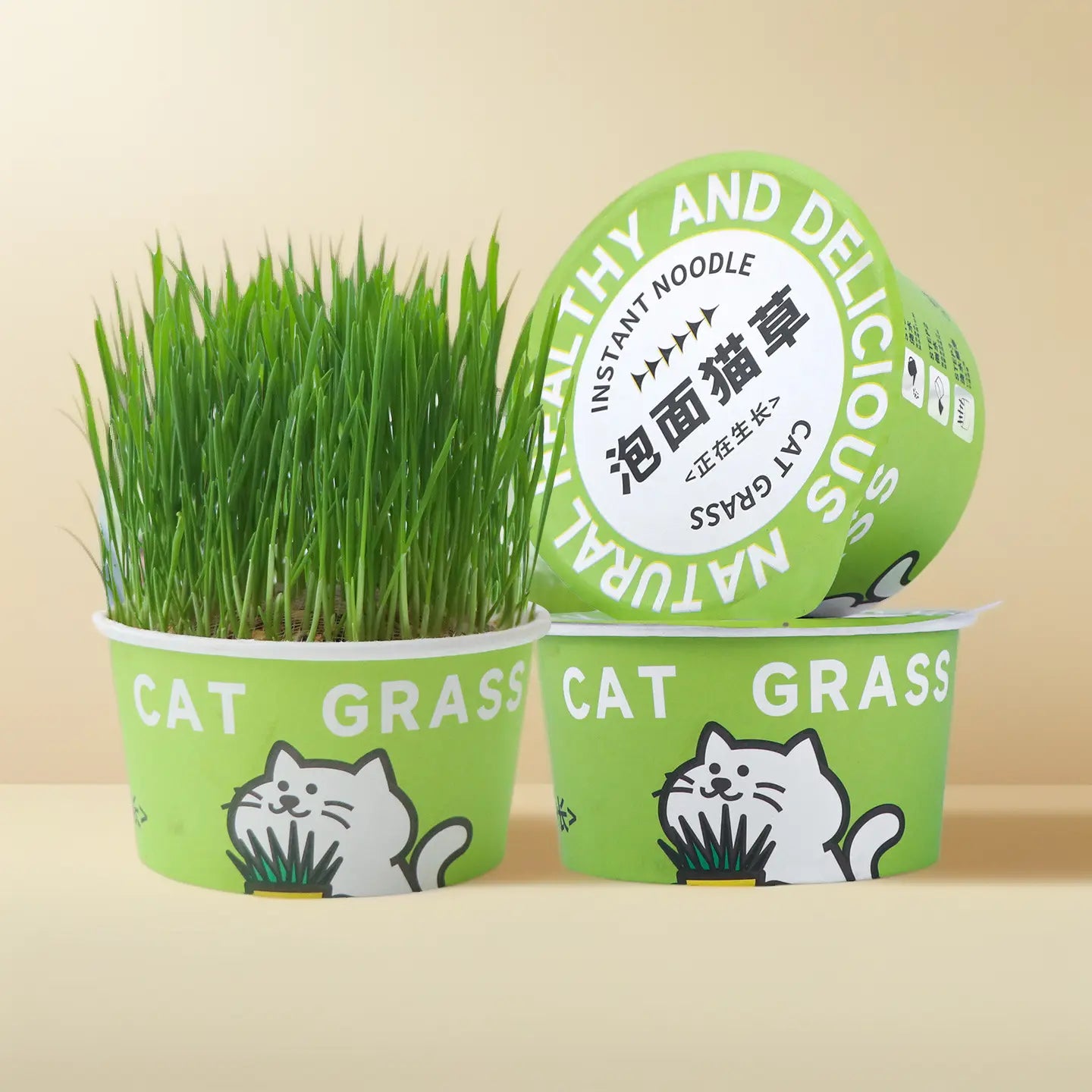 Easy-Grow Pet Grass Planter - Non-Gmo Cat Grass for Hairball Control, Digestion & Chewing - Perfect for Cats & Small Dogs