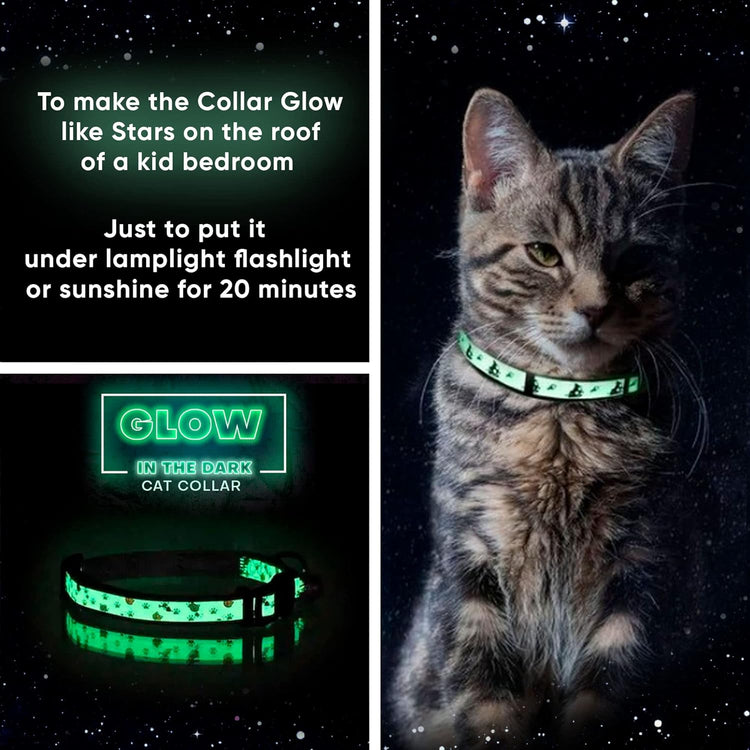 Glow in the Dark Cat Collar with Breakaway Safety Buckle & Bell Adjustable Kitten Collar, Teal