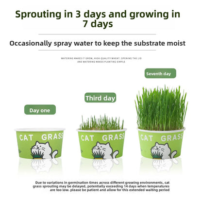 Easy-Grow Pet Grass Planter - Non-Gmo Cat Grass for Hairball Control, Digestion & Chewing - Perfect for Cats & Small Dogs
