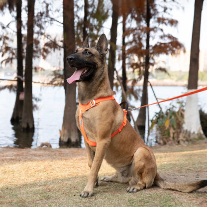 Pet Harness No Pull Reflective Dog Harness for Small Medium Large Dog Vest Adjustable Breathable Padded Outdoor Travel Dog Accessories Great for Walking & Training
