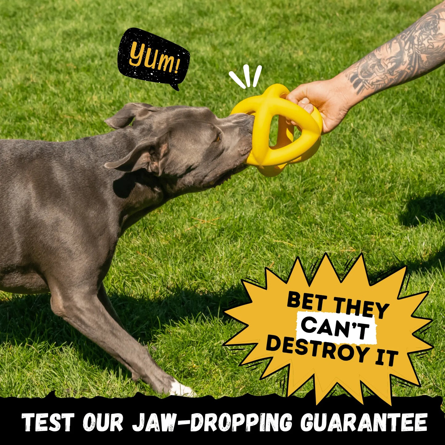 Huge K9 Giant Halo Ball – Oversized Indestructible Dog Ball for XL & Large Breed Power Chewers