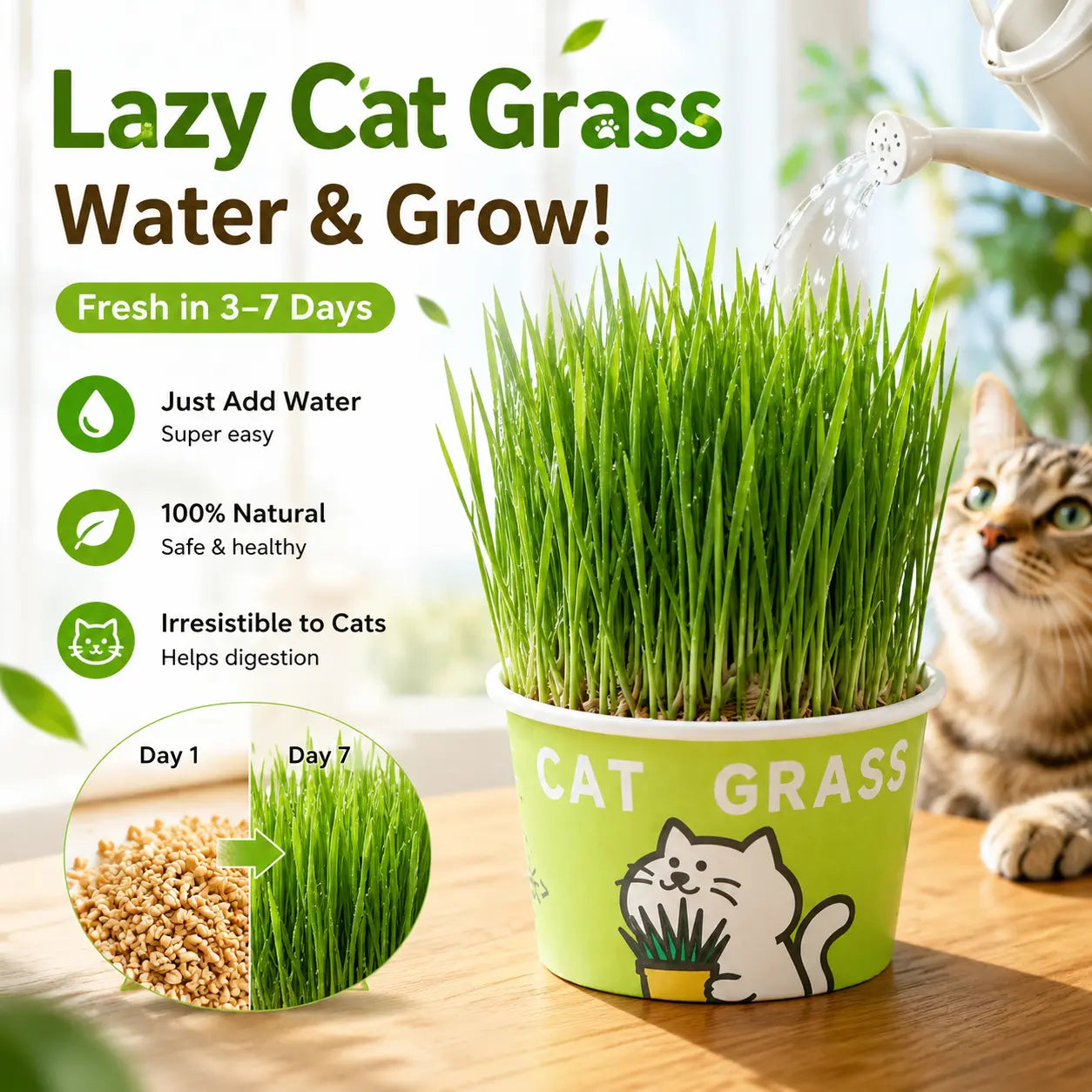Easy-Grow Pet Grass Planter - Non-Gmo Cat Grass for Hairball Control, Digestion & Chewing - Perfect for Cats & Small Dogs