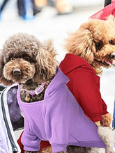 4 Pcs XXS Winter Dog Sweaters with Hood & Pocket